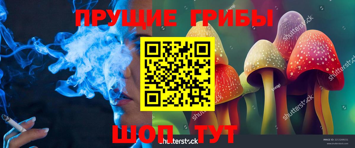 Нягань  Галлюциногенные грибы Cubensis  Псилоцибиновые грибы Psilocybine cubensis  Вход с VPN 